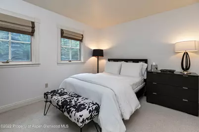 334 W Hallam Street #Guest House, Aspen, CO 81611 - Photo 11