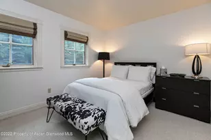 334 W Hallam St, Aspen, CO 81611 - Photo 11