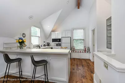 334 W Hallam Street #Guest House, Aspen, CO 81611 - Photo 5