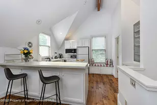 334 W Hallam St, Aspen, CO 81611 - Photo 5
