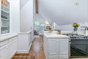 334 W Hallam St, Aspen, CO 81611 - Photo 7