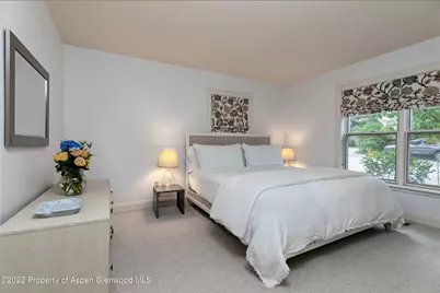 334 W Hallam Street #Guest House, Aspen, CO 81611 - Photo 9