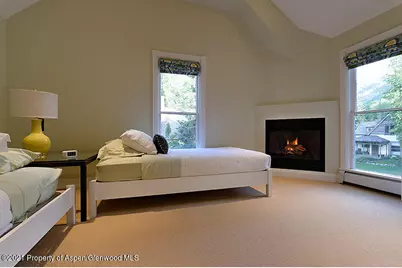 334 W Hallam Street, Aspen, CO 81611 - Photo 23