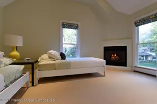 334 W Hallam St, Aspen, CO 81611 - Photo 23