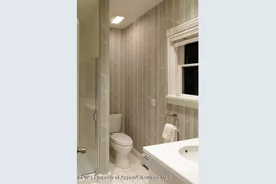 334 W Hallam Street, Aspen, CO 81611 - Photo 25
