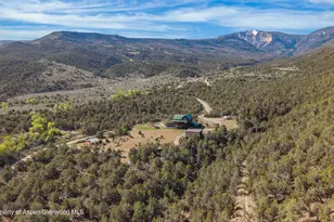 1665 County Rd 325, Rifle, CO 81650 - Photo 3