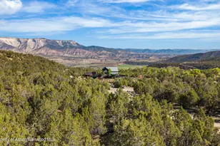1665 County Rd 325, Rifle, CO 81650 - Photo 39