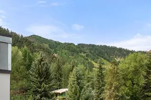 940 Waters Ave, Aspen, CO 81611 - Photo 19