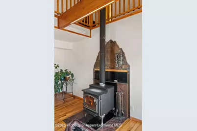238 Hawk Lane, Basalt, CO 81621 - Photo 21