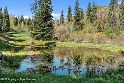 0 East Divide Creek Road, Silt, CO 81652 - Photo 13