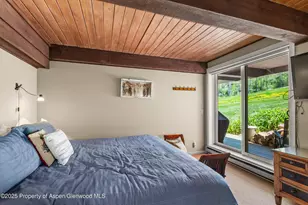 360 Wood Rd, Snowmass Village, CO 81615 - Photo 7