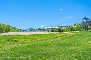 360 Wood Rd, Snowmass Village, CO 81615 - Photo 11