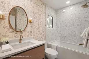 814 W Bleeker St, Aspen, CO 81611 - Photo 17