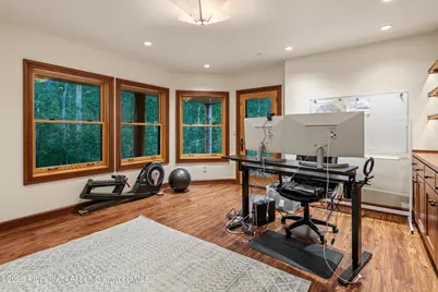 335 Hall Drive, Aspen, CO 81611 - Photo 39