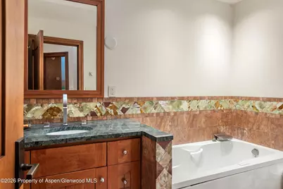 335 Hall Drive, Aspen, CO 81611 - Photo 35