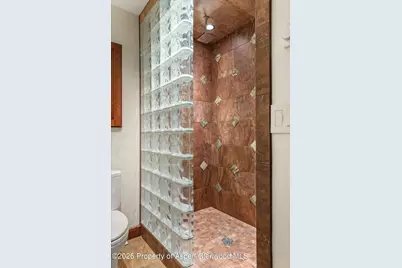 335 Hall Drive, Aspen, CO 81611 - Photo 37