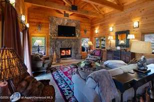294 Ruedi Creek Rd, Basalt, CO 81621 - Photo 9