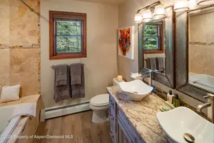 294 Ruedi Creek Rd, Basalt, CO 81621 - Photo 19