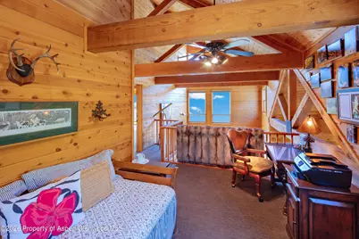 294 Ruedi Creek Road, Basalt, CO 81621 - Photo 13