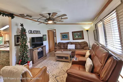 4055 Pinion Street, Collbran, CO 81624 - Photo 7