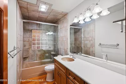 377 Crystal Lane, Carbondale, CO 81623 - Photo 19