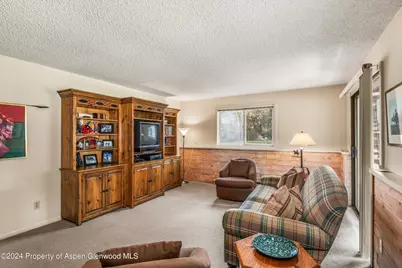 1275 Snowbunny Lane #2, Aspen, CO 81611 - Photo 23