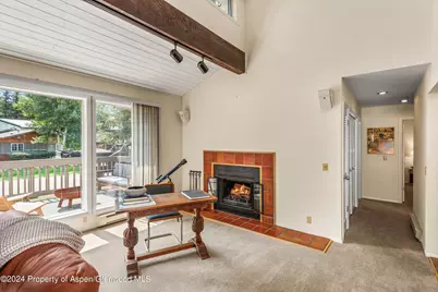 1275 Snowbunny Lane #2, Aspen, CO 81611 - Photo 9