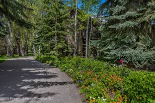 1354 Sierra Vista Dr, Aspen, CO 81611 - Photo 87