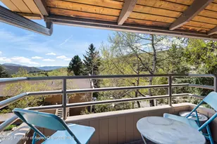 35 Lower Woodbridge Rd, Snowmass Village, CO 81615 - Photo 7