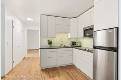 415 Pacific Avenue #C, Aspen, CO 81611 - Photo 5