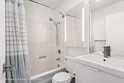 415 Pacific Avenue #C, Aspen, CO 81611 - Photo 9