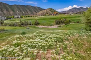 347 Faas Ranch Rd, New Castle, CO 81647 - Photo 1