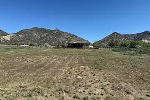 1148 Co Rd 237, Silt, CO 81652 - Photo 59