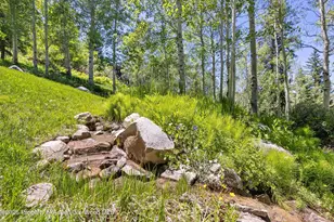 142 Aspen Way, Snowmass Village, CO 81615 - Photo 37