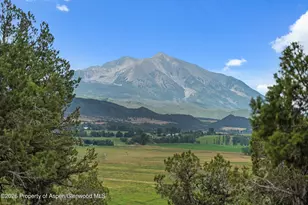 51 Co Rd 165, Carbondale, CO 81623 - Photo 9