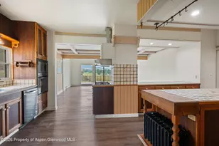 51 Co Rd 165, Carbondale, CO 81623 - Photo 21