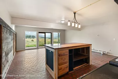 51 County Road 165, Carbondale, CO 81623 - Photo 29