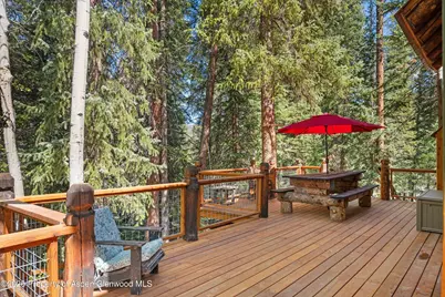 26608 Frying Pan Road, Thomasville, CO 81642 - Photo 13