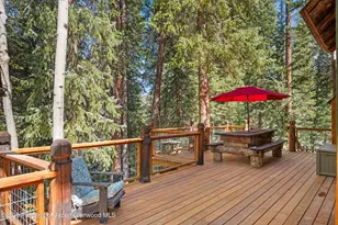 26608 Frying Pan Rd, Thomasville, CO 81642 - Photo 13