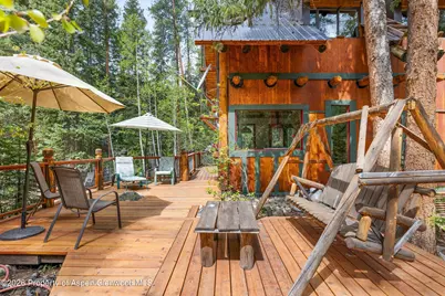 26608 Frying Pan Road, Thomasville, CO 81642 - Photo 9