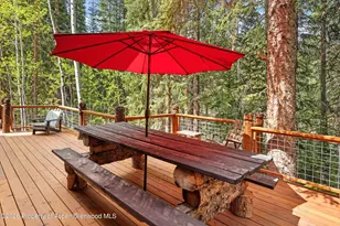 26608 Frying Pan Rd, Thomasville, CO 81642 - Photo 11