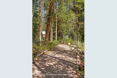 26608 Frying Pan Road, Thomasville, CO 81642 - Photo 45
