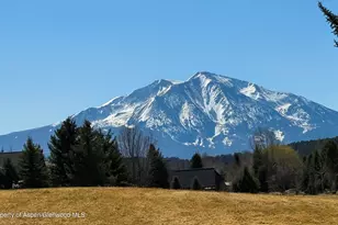 29 Primrose Rd, Carbondale, CO 81623 - Photo 35