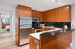 100 E Dean St, Aspen, CO 81611 - Photo 5