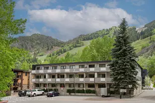 100 E Dean St, Aspen, CO 81611 - Photo 9