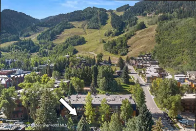 205 E Durant Avenue #1-I, Aspen, CO 81611 - Photo 41