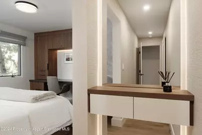 205 E Durant Avenue #1-I, Aspen, CO 81611 - Photo 17