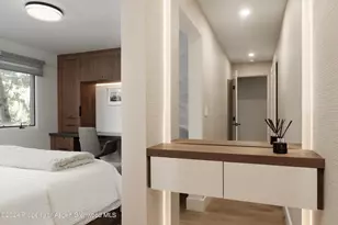 205 E Durant Ave, Aspen, CO 81611 - Photo 17