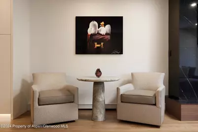 205 E Durant Avenue #1-I, Aspen, CO 81611 - Photo 5