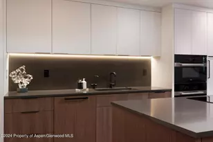 205 E Durant Ave, Aspen, CO 81611 - Photo 9